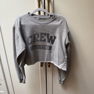 Brandy Melville Gray Crew Cropped Sweater